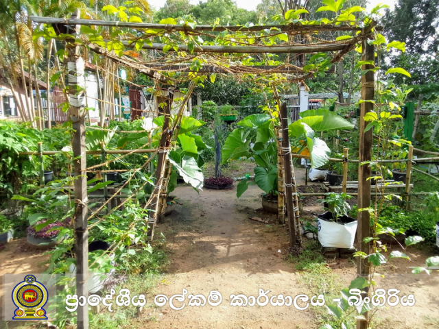 அலுவலக தோட்டம்